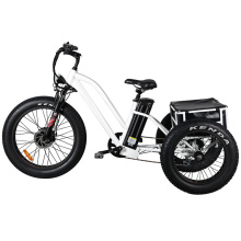 48V 500W Cargo Bicycle Electric Tyre Tricycle with Suspension, Mozo